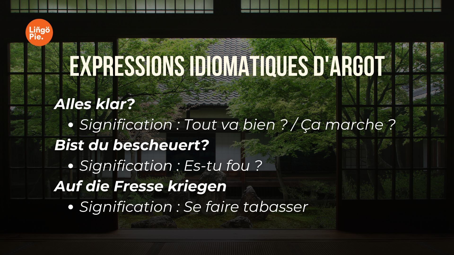 Expressions idiomatiques d'argot - mots et expressions d'argot en allemand à connaître absolument