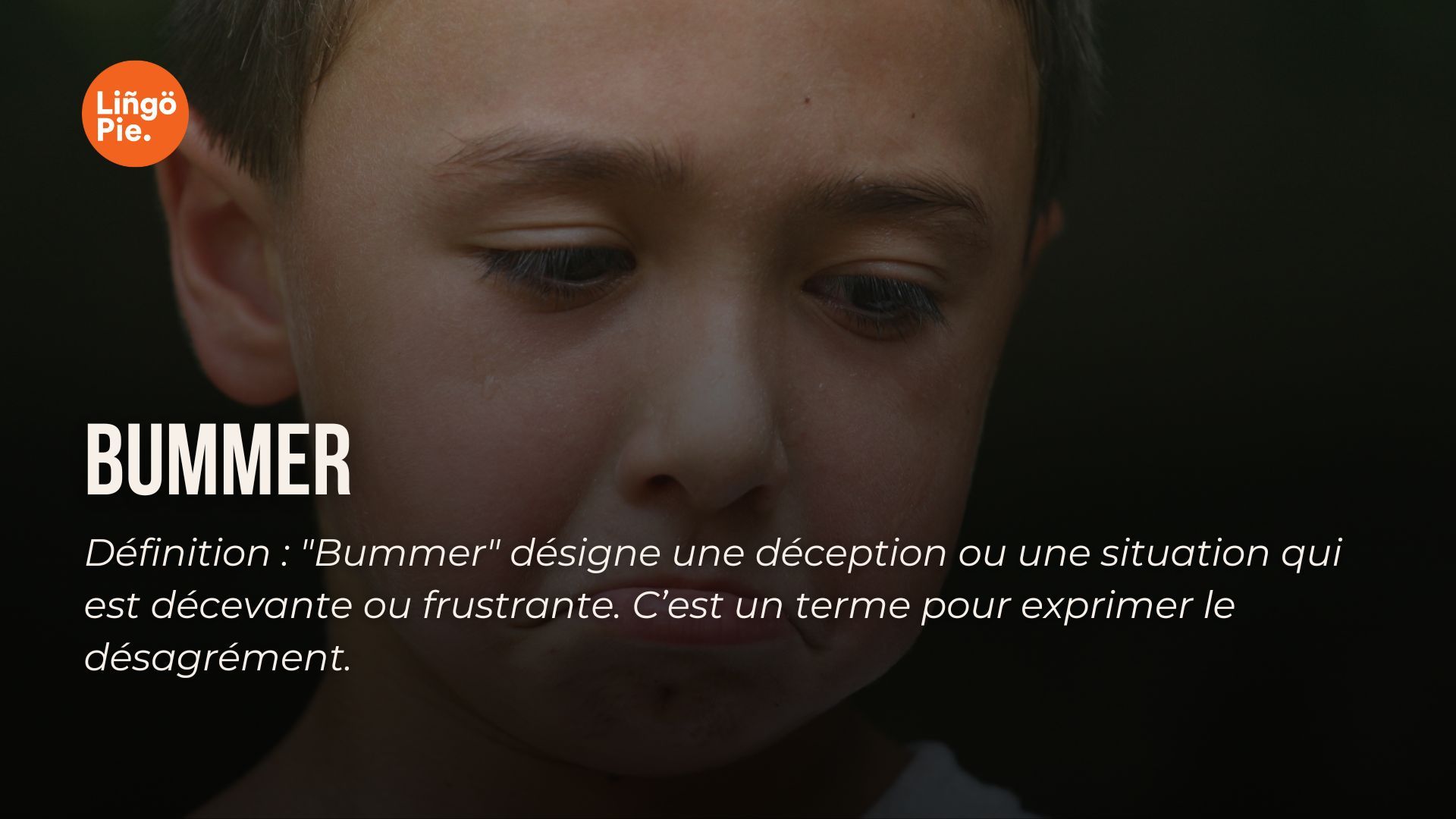 bummer  - argot anglais