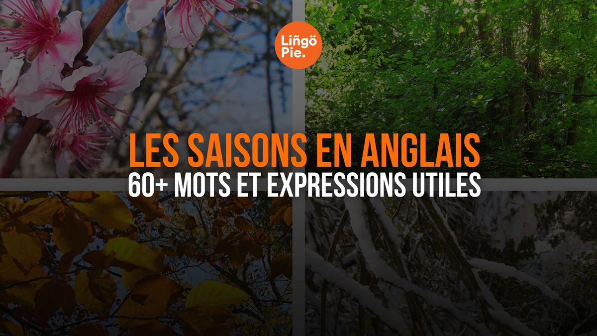 Les Saisons en Anglais