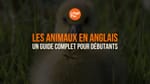 Les animaux en anglais