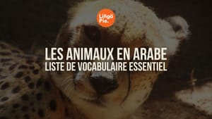 Les animaux en arabe : liste de vocabulaire essentiel