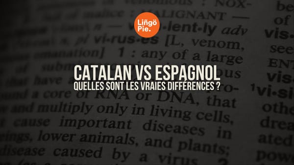 Catalan vs Espagnol : quelles sont les vraies différences ?